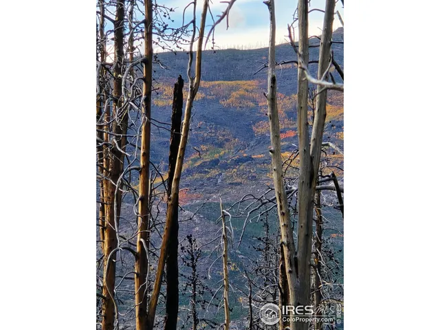 $140,000 | 75 Sheep Horn Court, Bellvue, CO 80512