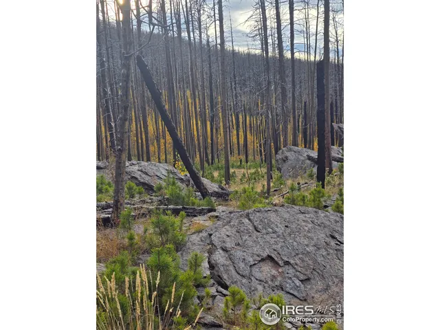 $140,000 | 75 Sheep Horn Court, Bellvue, CO 80512