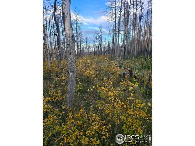 $140,000 | 75 Sheep Horn Court, Bellvue, CO 80512