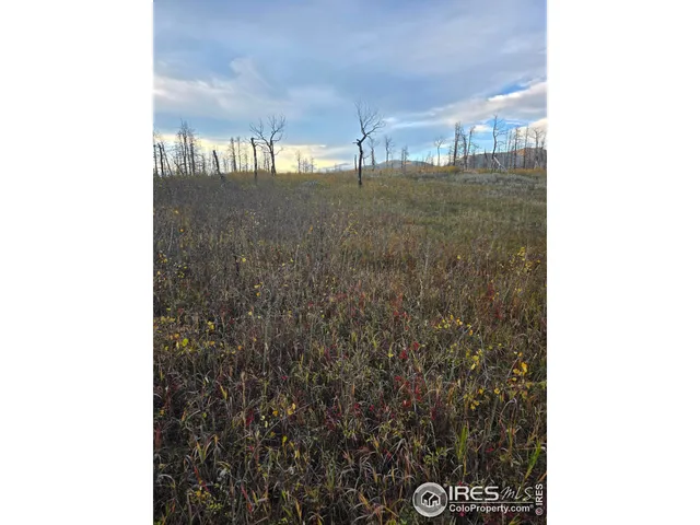 $140,000 | 75 Sheep Horn Court, Bellvue, CO 80512