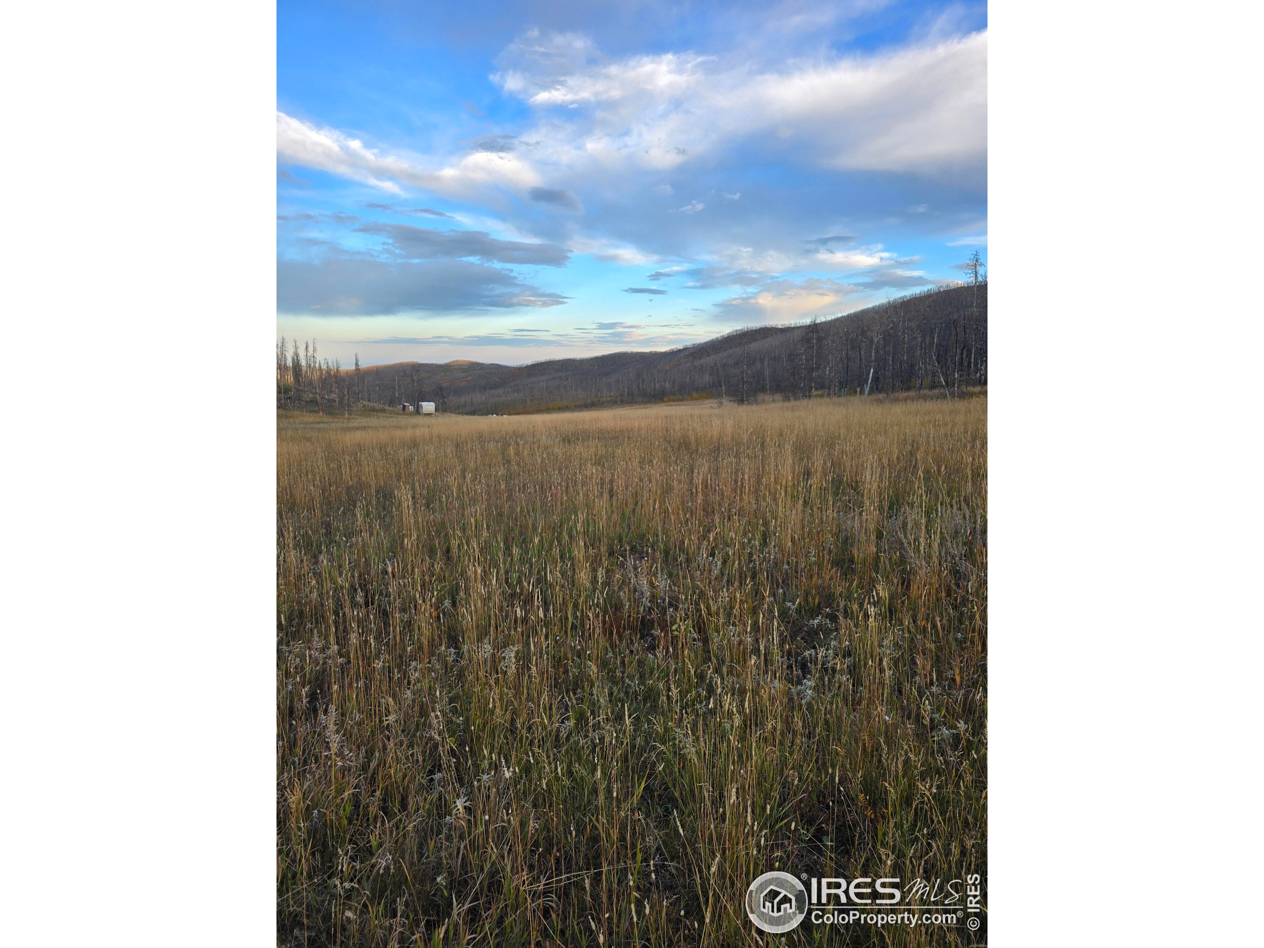 75 Sheep Horn Court Bellvue, CO 80512 - Photo 18 of 21