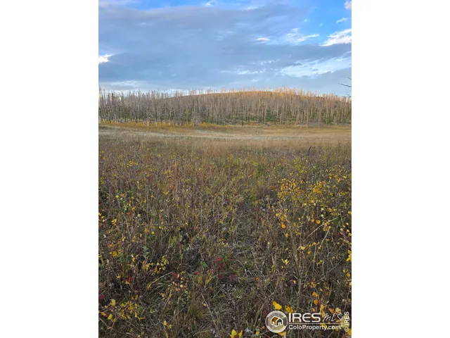 $140,000 | 75 Sheep Horn Court, Bellvue, CO 80512