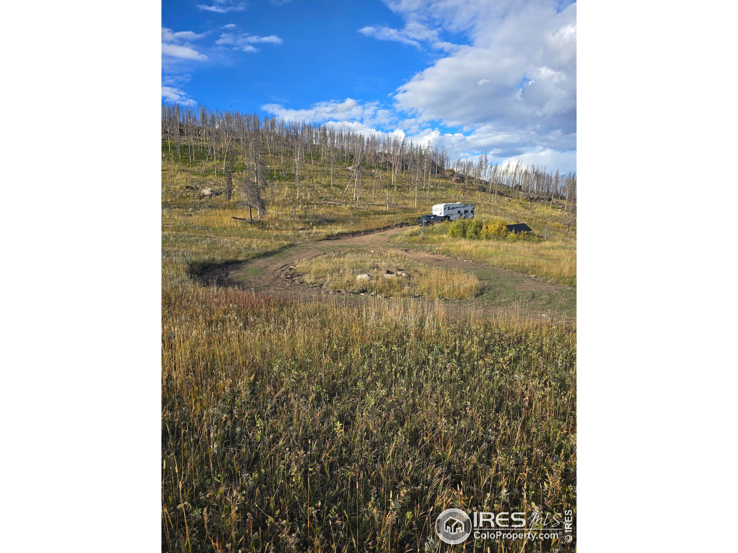 75 Sheep Horn Court Bellvue, CO 80512 - Photo 7 of 21