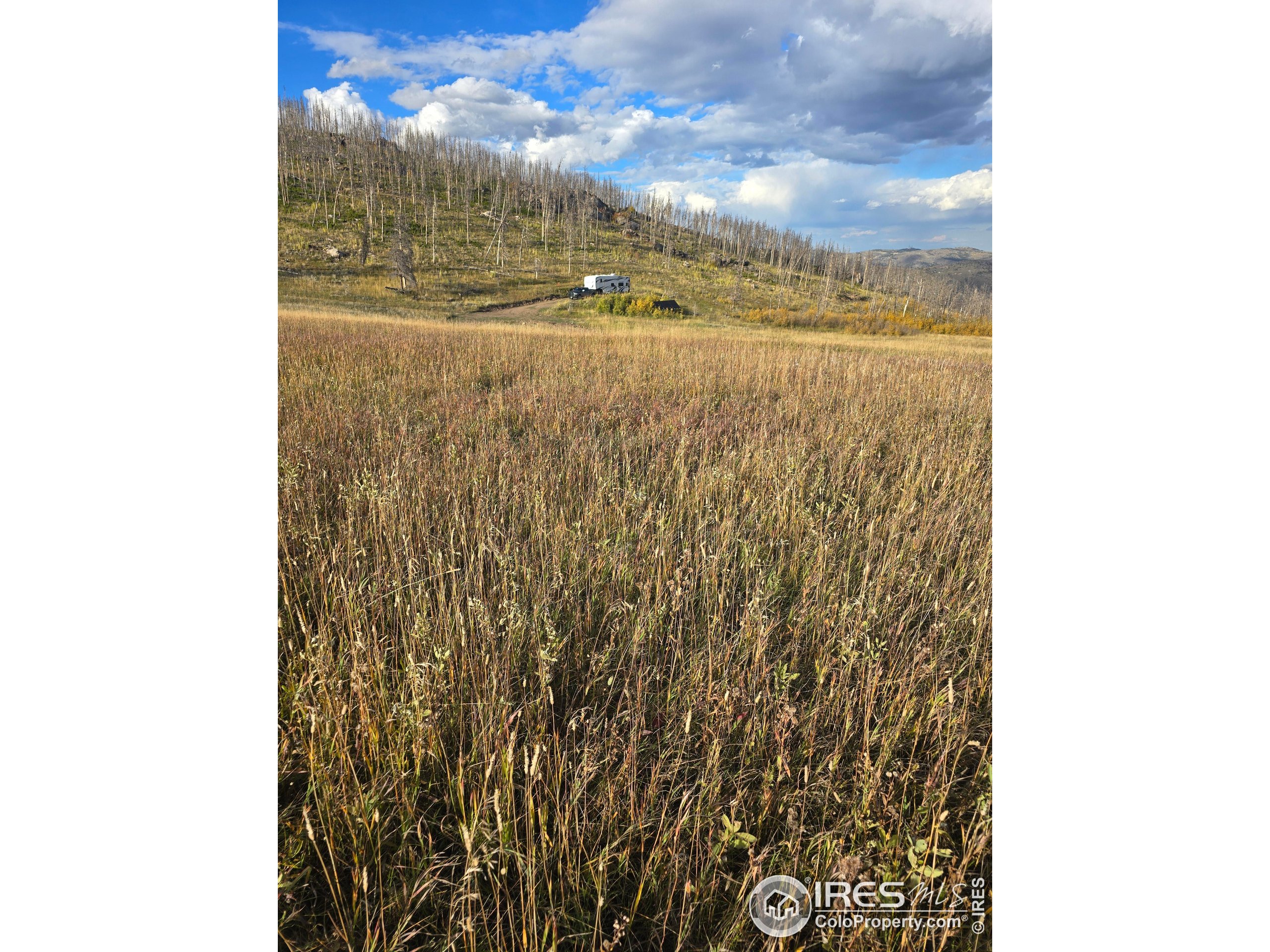 75 Sheep Horn Court Bellvue, CO 80512 - Photo 10 of 21