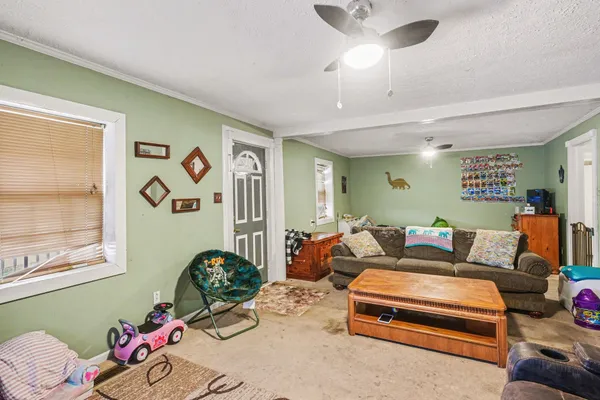 a living room with furniture flowerpot and window