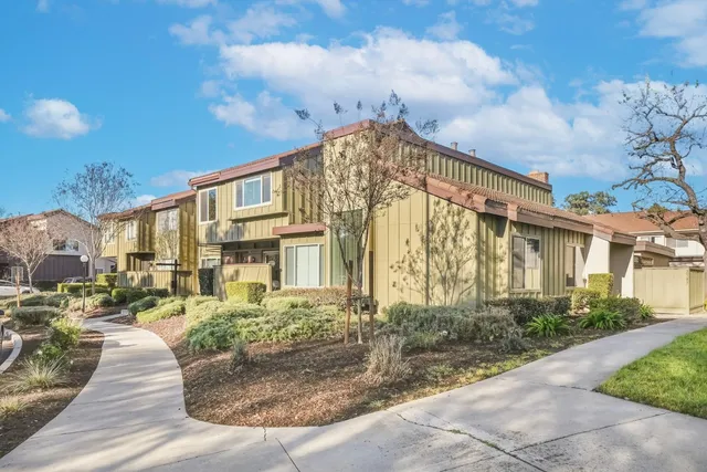 a view of a swimming pool with a garden and trees