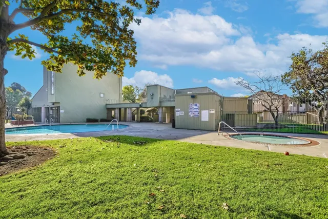 a view of a park with a tree