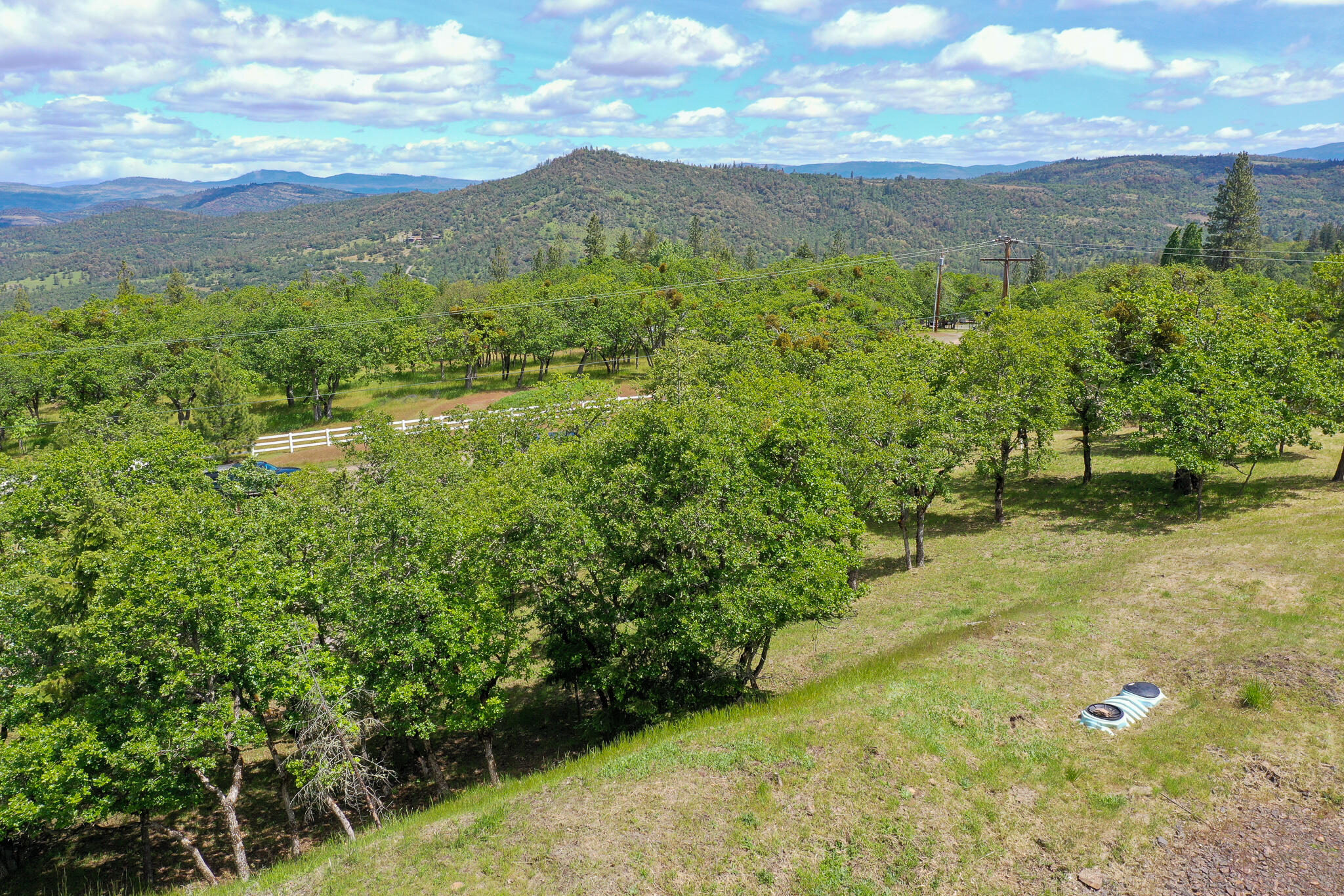 1729 Wren Ridge Drive Eagle Point, OR 97524 - Photo 10 of 21 DJI_0920