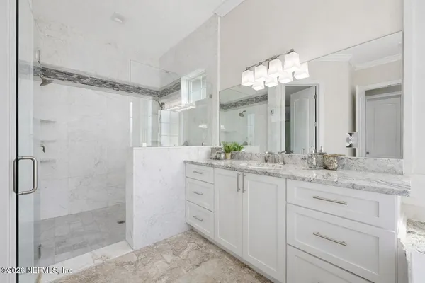 a close up of a plant in a rack