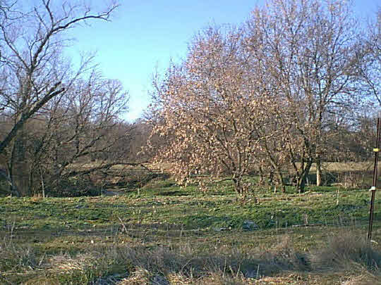 1861 East Pleasant Grove Road Oregon, IL 61061 - Photo 1 of 5 a big yard with lots of green space and plants
