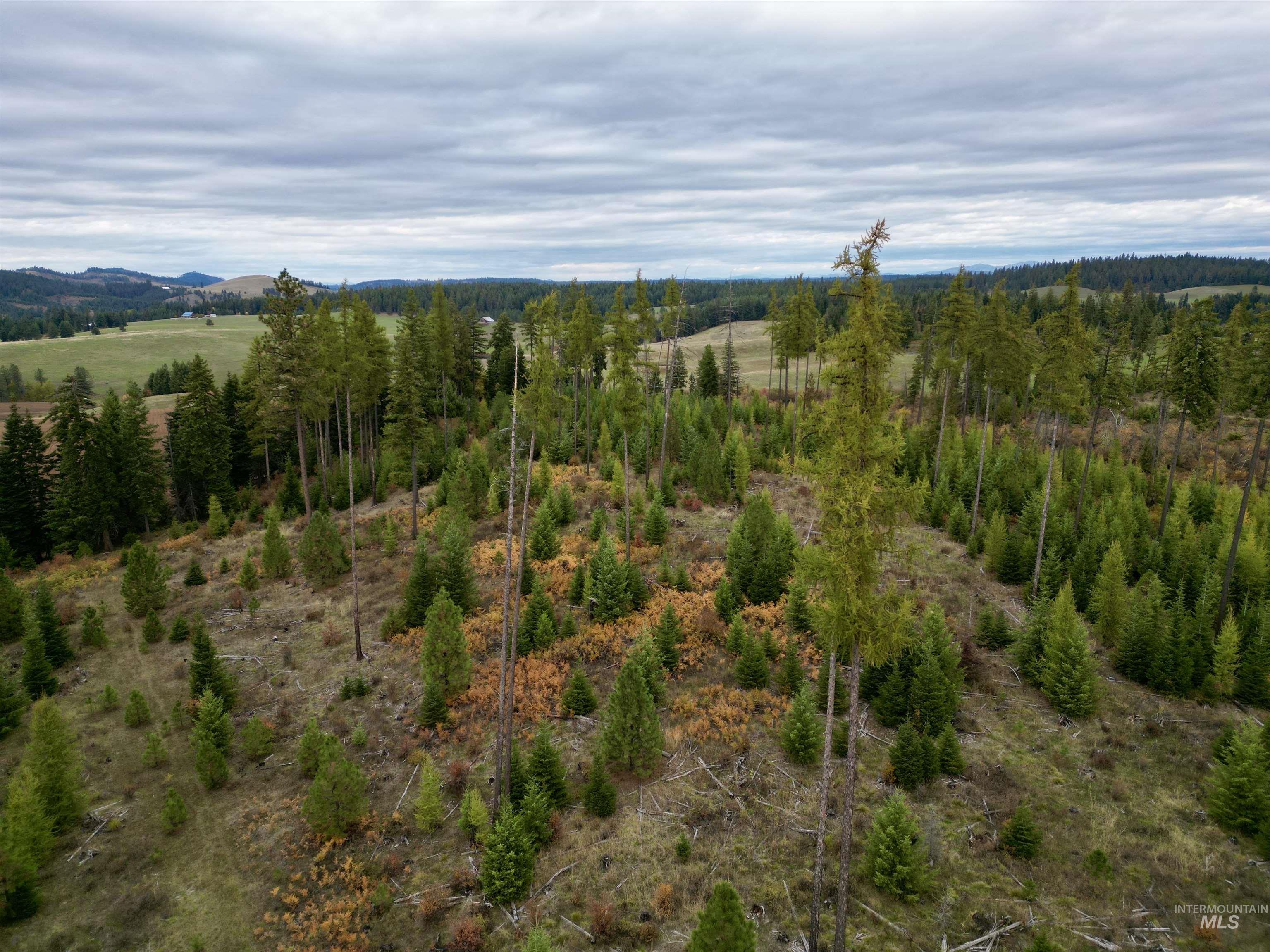 2 Peaceful Valley Road Kamiah, ID 83536 - Photo 1 of 10