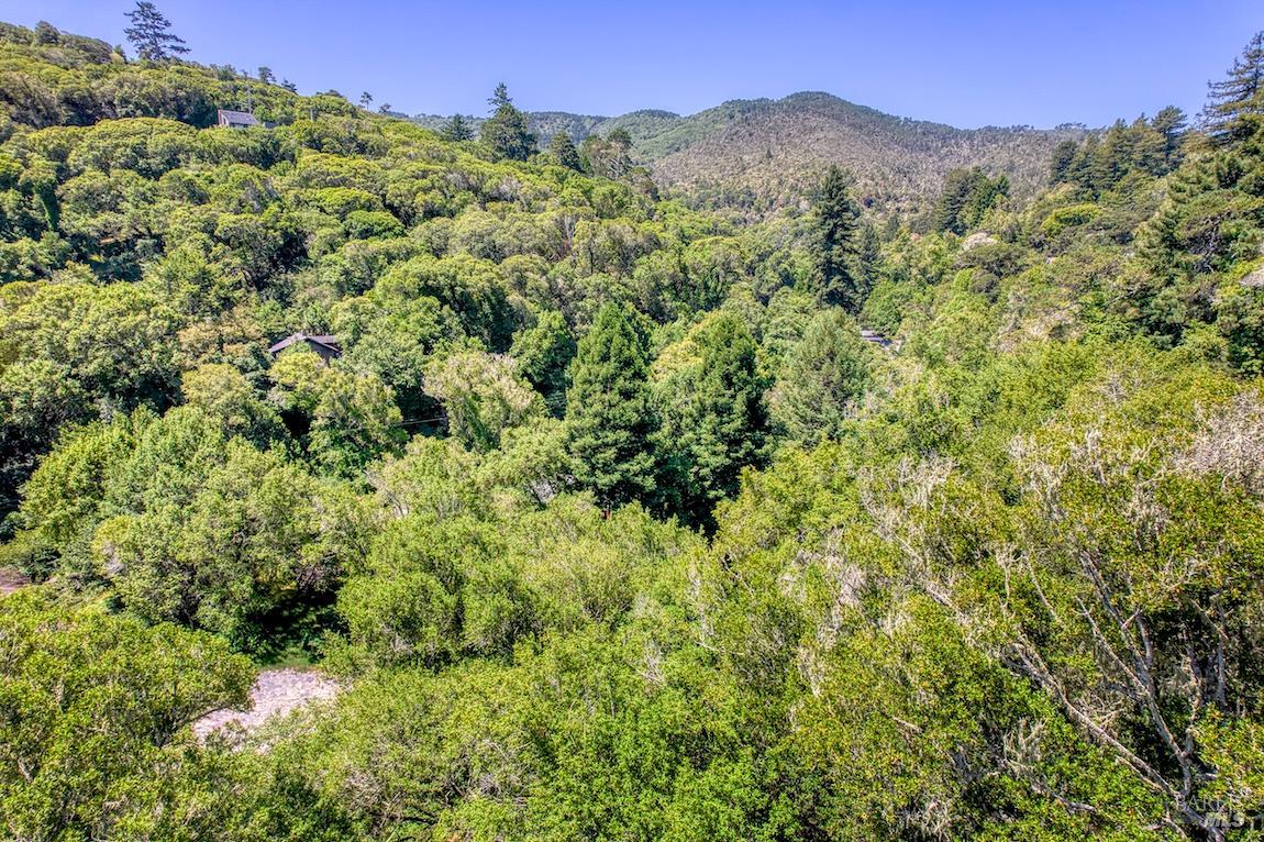 95 Forres Way Inverness, CA 94937 - Photo 44 of 46 Gallery Image 44