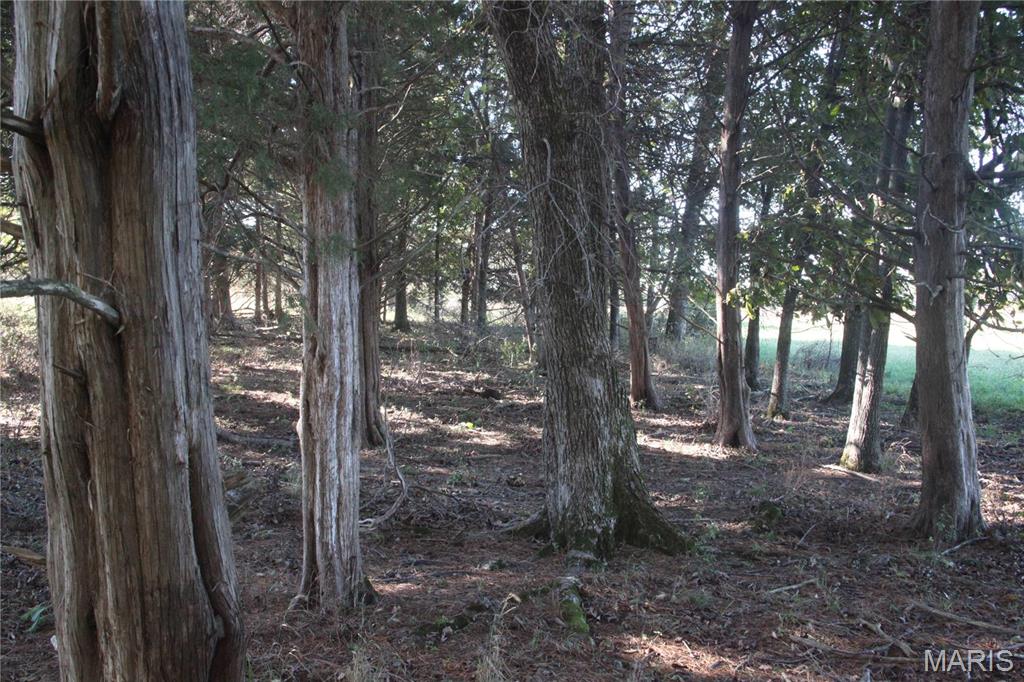 0 Hwy 72/county Road 4080 Rolla, MO 65401 - Photo 17 of 26