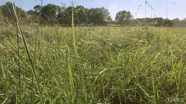 $389,900 | 0 Hwy 72/county Road 4080, Rolla, MO 65401