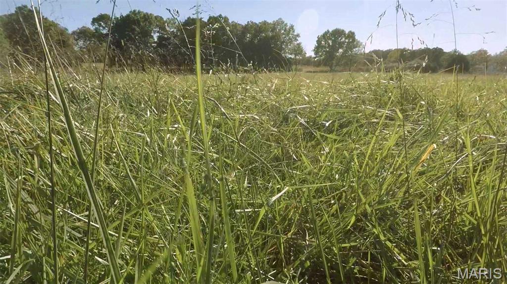 0 Hwy 72/county Road 4080 Rolla, MO 65401 - Photo 18 of 26