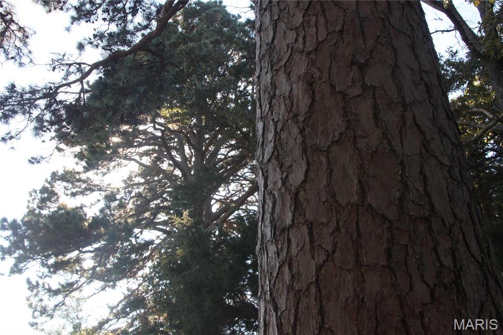 0 Hwy 72/county Road 4080 Rolla, MO 65401 - Photo 20 of 26