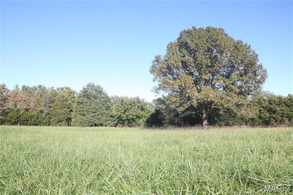 0 Hwy 72/county Road 4080 Rolla, MO 65401 - Photo 2 of 26