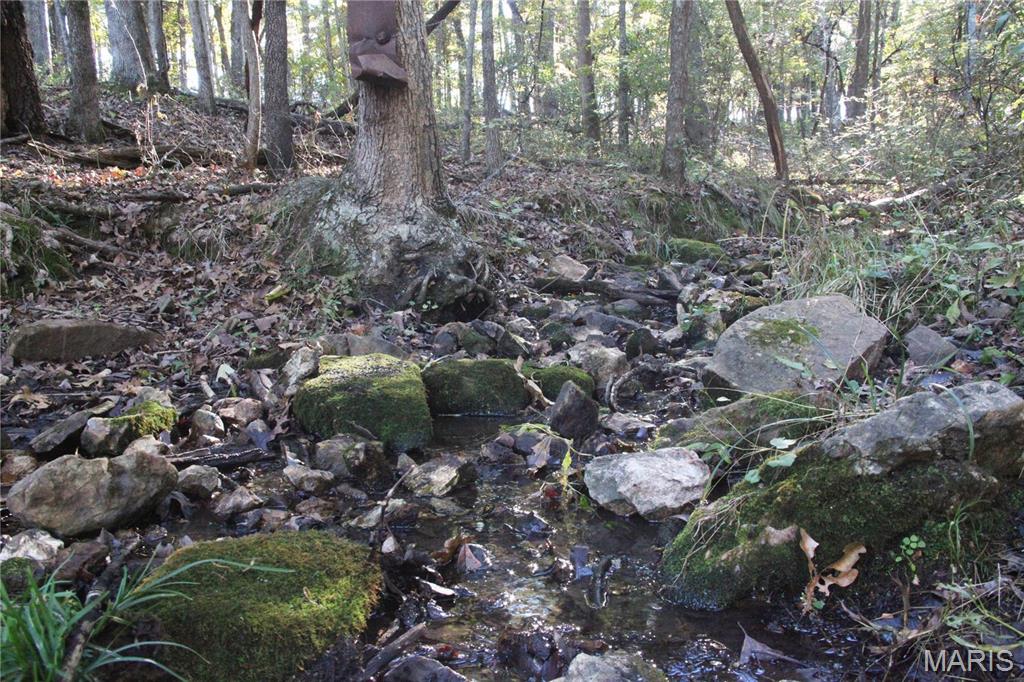 0 Hwy 72/county Road 4080 Rolla, MO 65401 - Photo 22 of 26