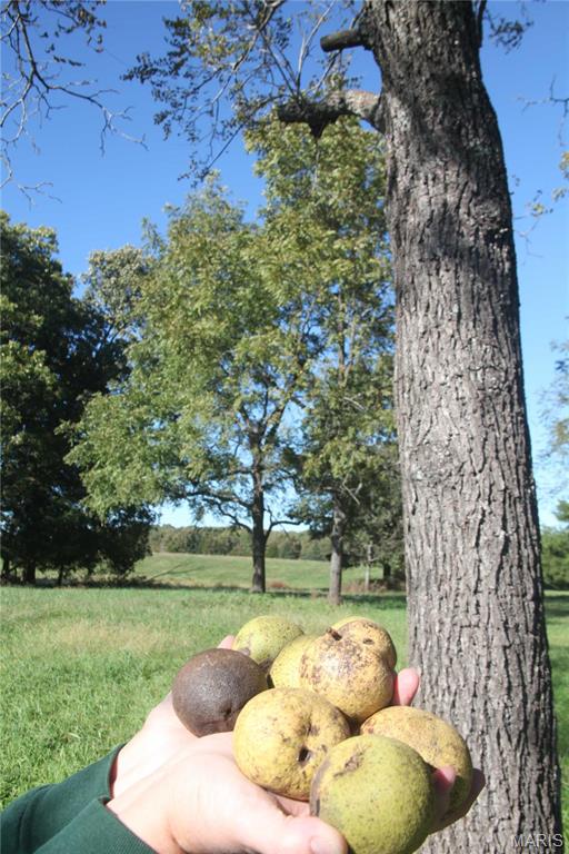 0 Hwy 72/county Road 4080 Rolla, MO 65401 - Photo 23 of 26