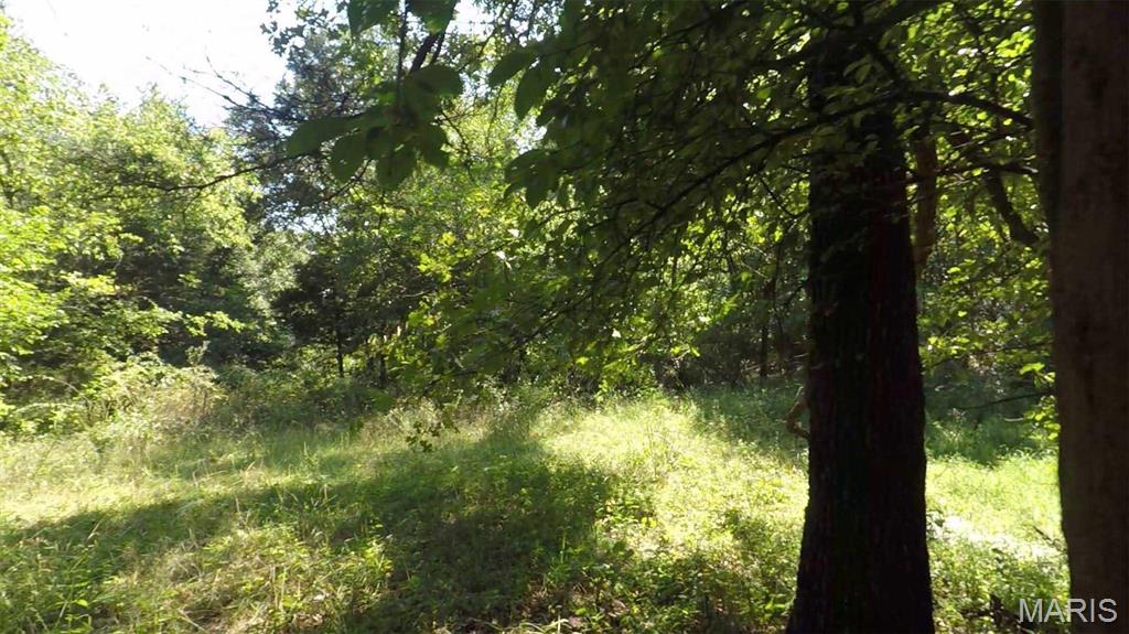 0 Hwy 72/county Road 4080 Rolla, MO 65401 - Photo 24 of 26