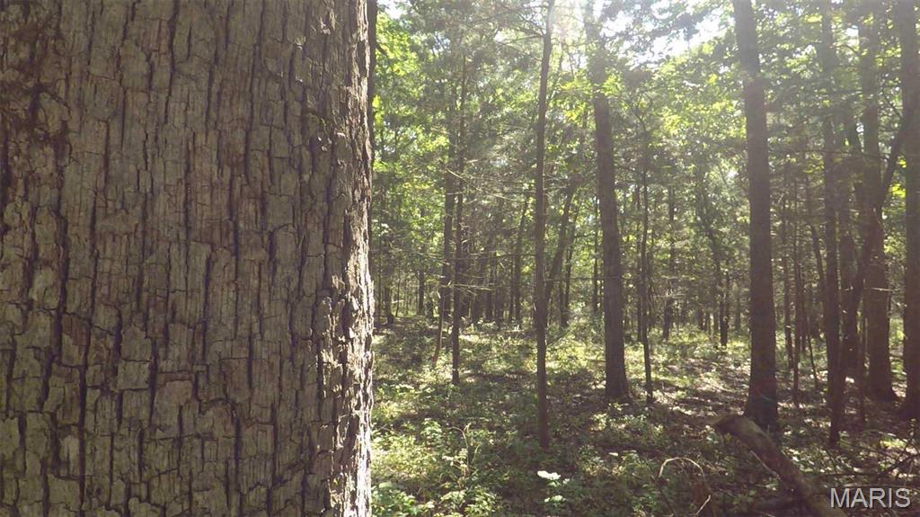 0 Hwy 72/county Road 4080 Rolla, MO 65401 - Photo 25 of 26