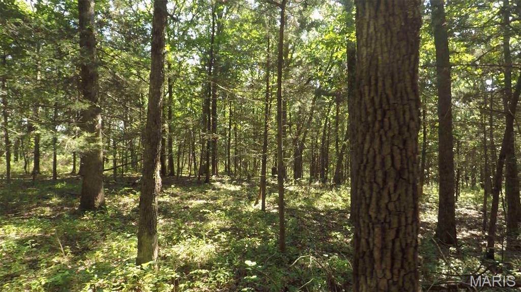 0 Hwy 72/county Road 4080 Rolla, MO 65401 - Photo 26 of 26