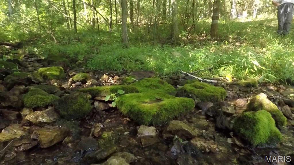 0 Hwy 72/county Road 4080 Rolla, MO 65401 - Photo 6 of 26