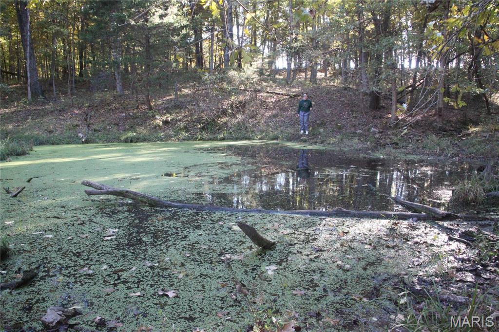 0 Hwy 72/county Road 4080 Rolla, MO 65401 - Photo 7 of 26