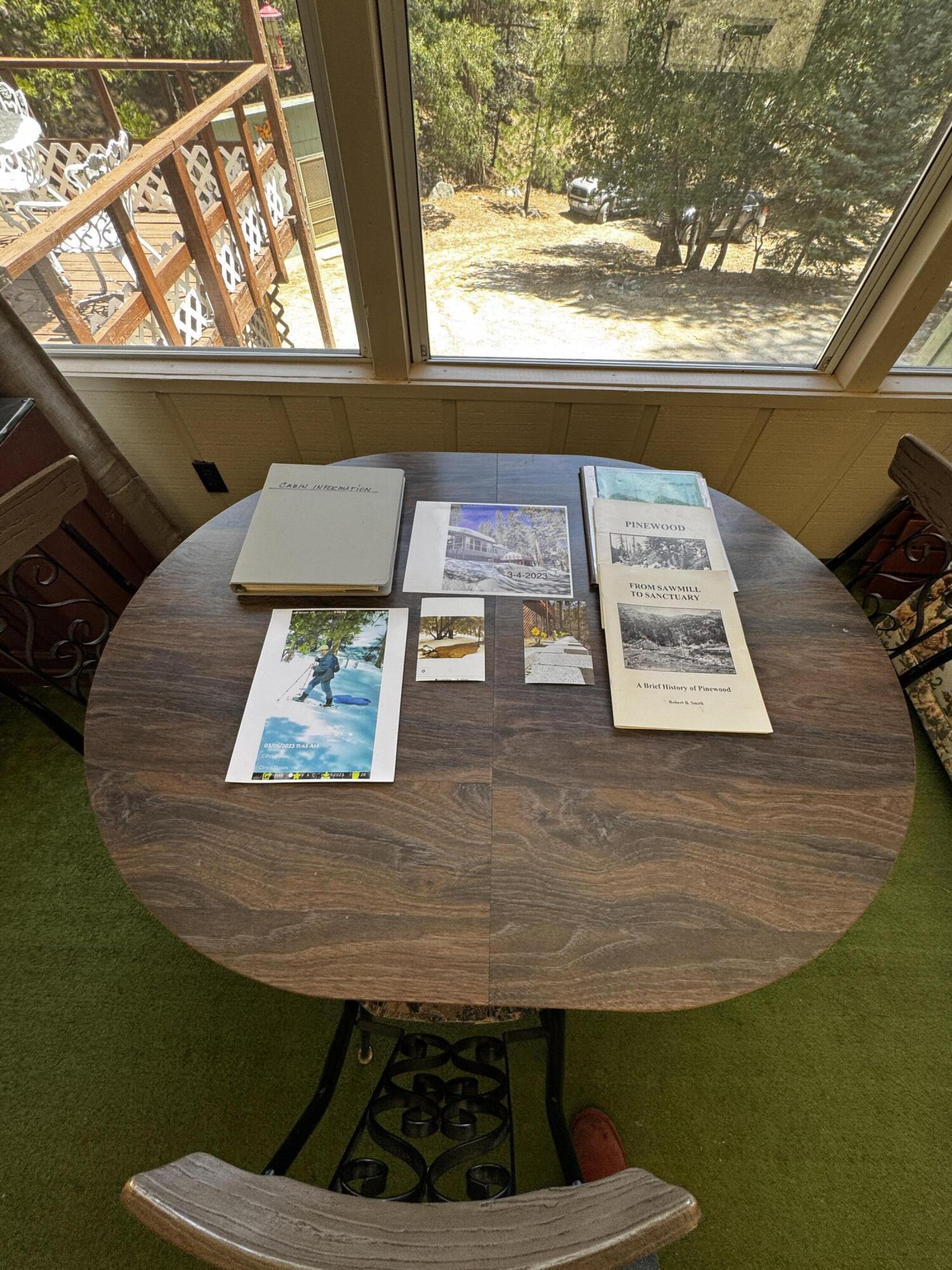 52670 Forest Rte 4S02 Idyllwild, CA 92549 - Photo 49 of 51 a view of a living room with a rug
