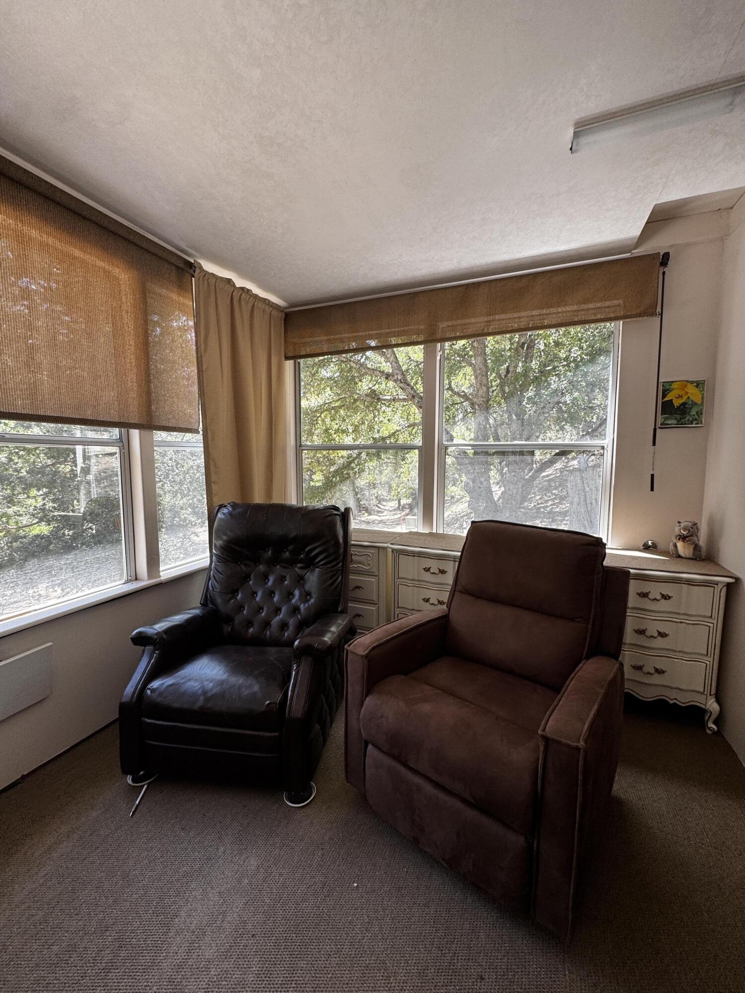 52670 Forest Rte 4S02 Idyllwild, CA 92549 - Photo 7 of 51 a living room with furniture and a large window