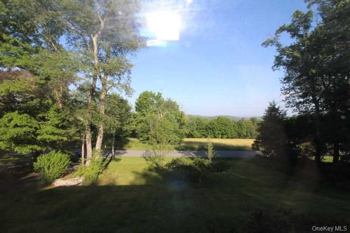545 Stump Pond Road Livingston Manor, NY 12758 - Photo 29 of 40