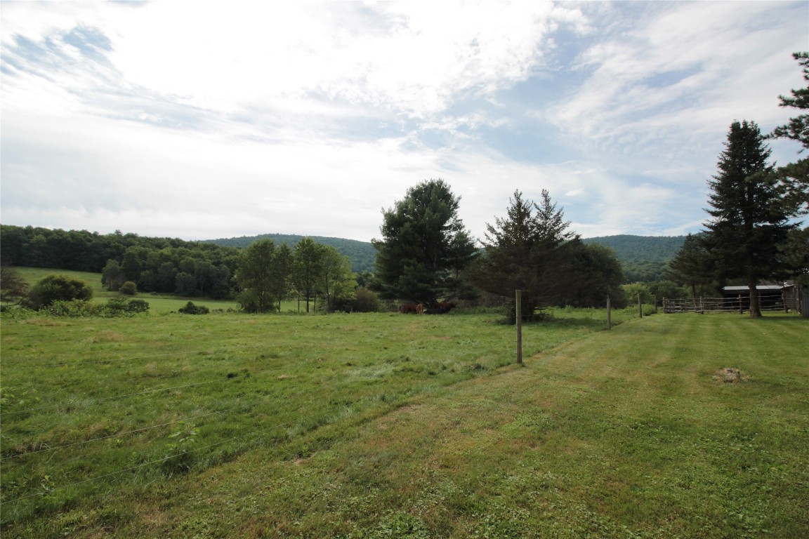 924 East Windsor Road Nineveh, NY 13813 - Photo 46 of 50 Gallery Image 46