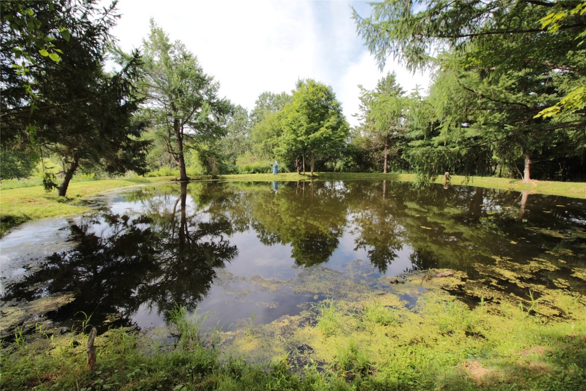 924 East Windsor Road Nineveh, NY 13813 - Photo 48 of 50 Gallery Image 48