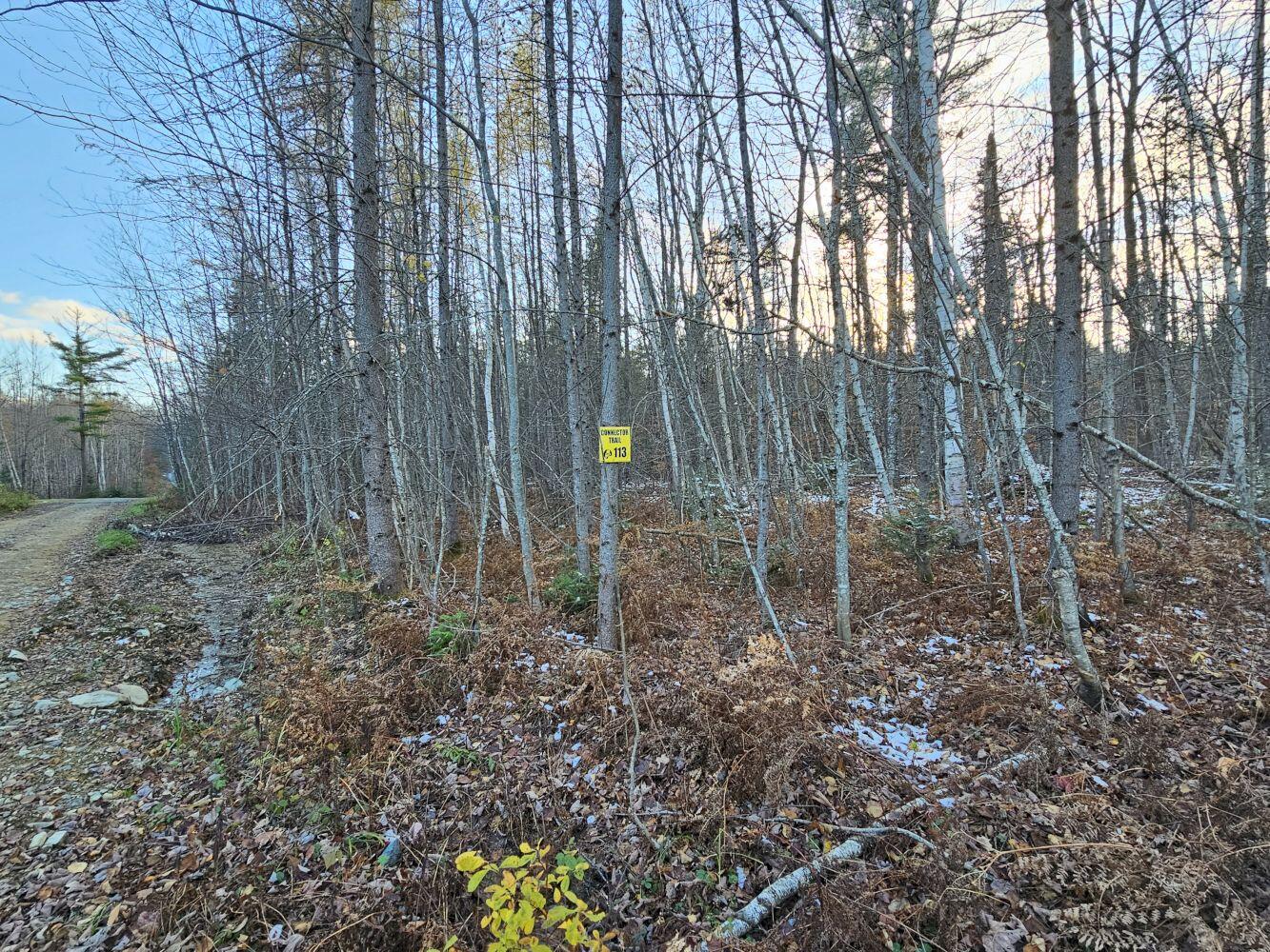 Mr6-l1-b-1 Longley Road Solon, ME 04979 - Photo 3 of 8 5