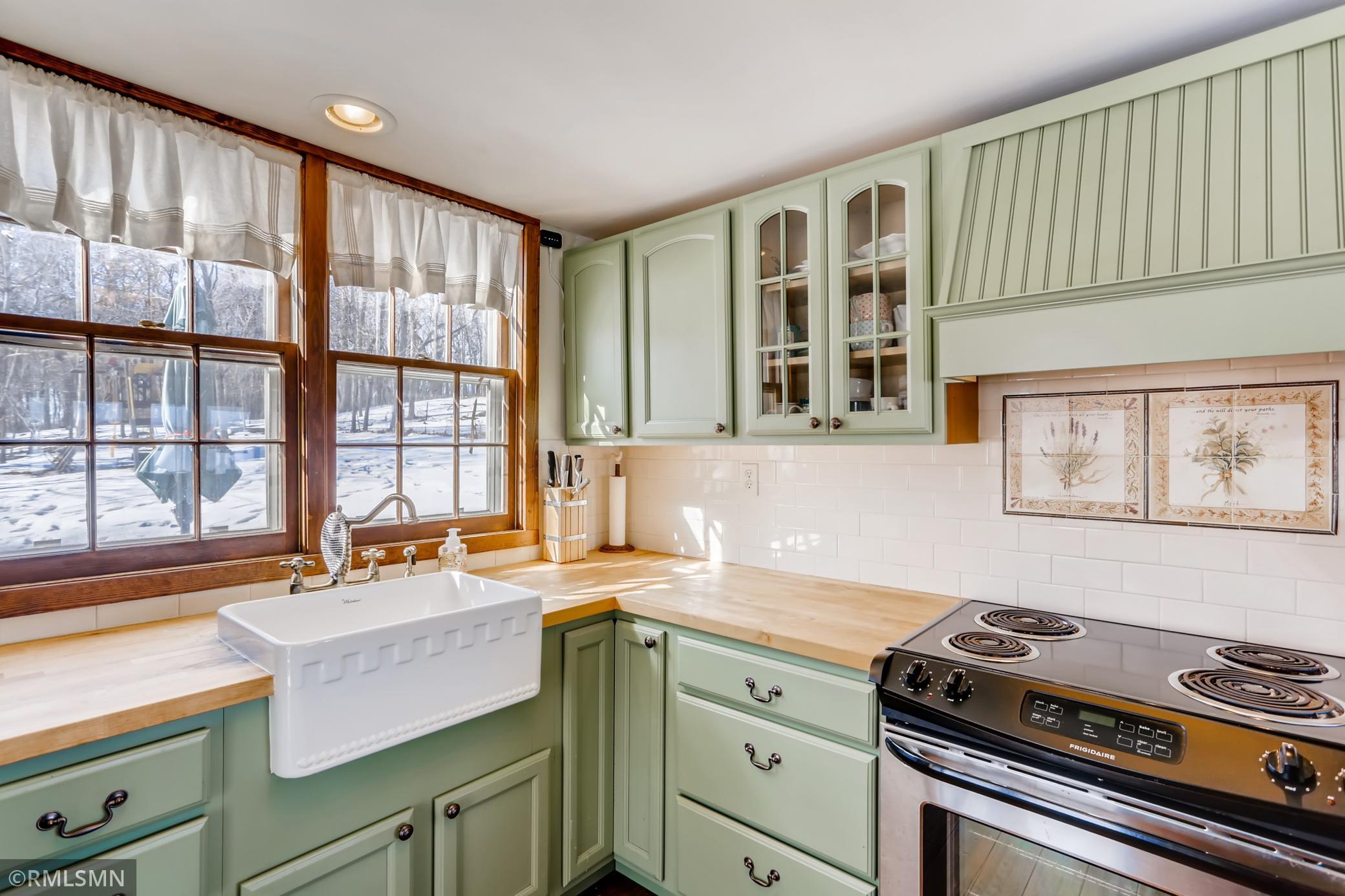 330 Big Island Excelsior, MN 55331 - Photo 12 of 47