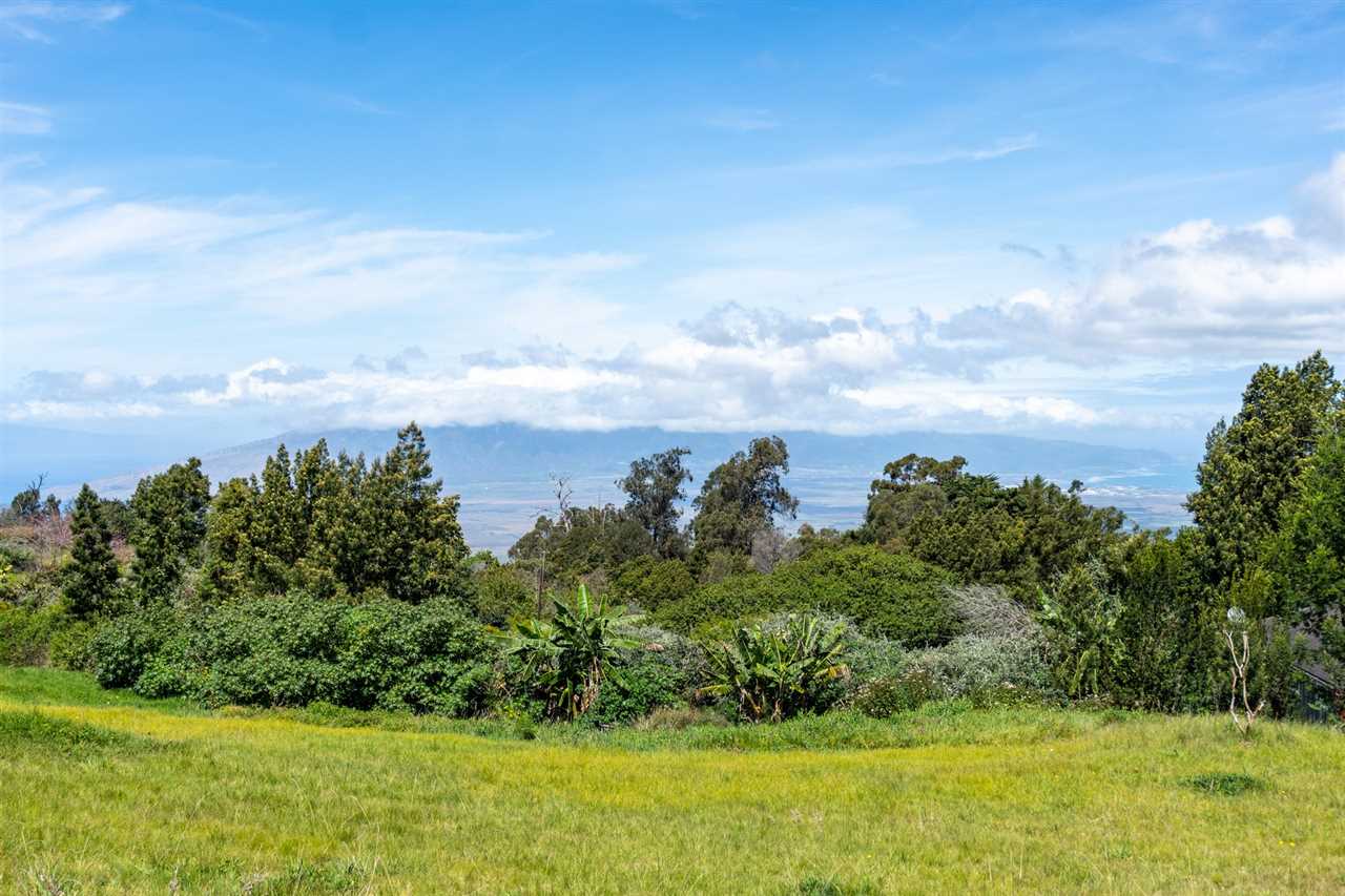 180 Waiakoa Road Kula, HI 96790 - Photo 20 of 27 a view of a lake with a yard