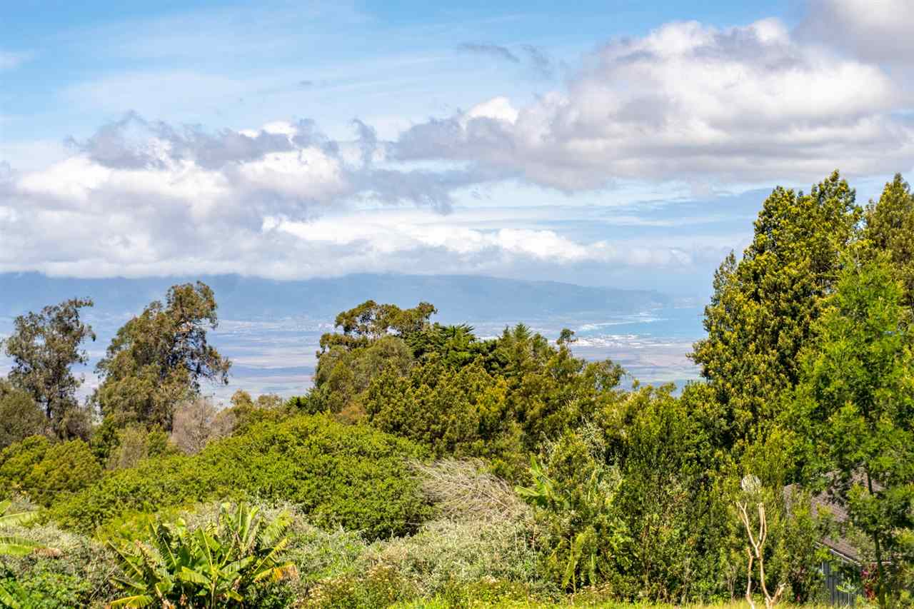 180 Waiakoa Road Kula, HI 96790 - Photo 21 of 27 a view of a bunch of plants and trees