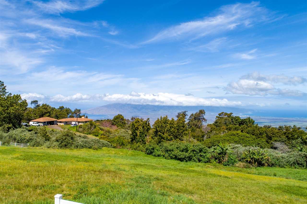 180 Waiakoa Road Kula, HI 96790 - Photo 23 of 27 a view of a big yard with large trees