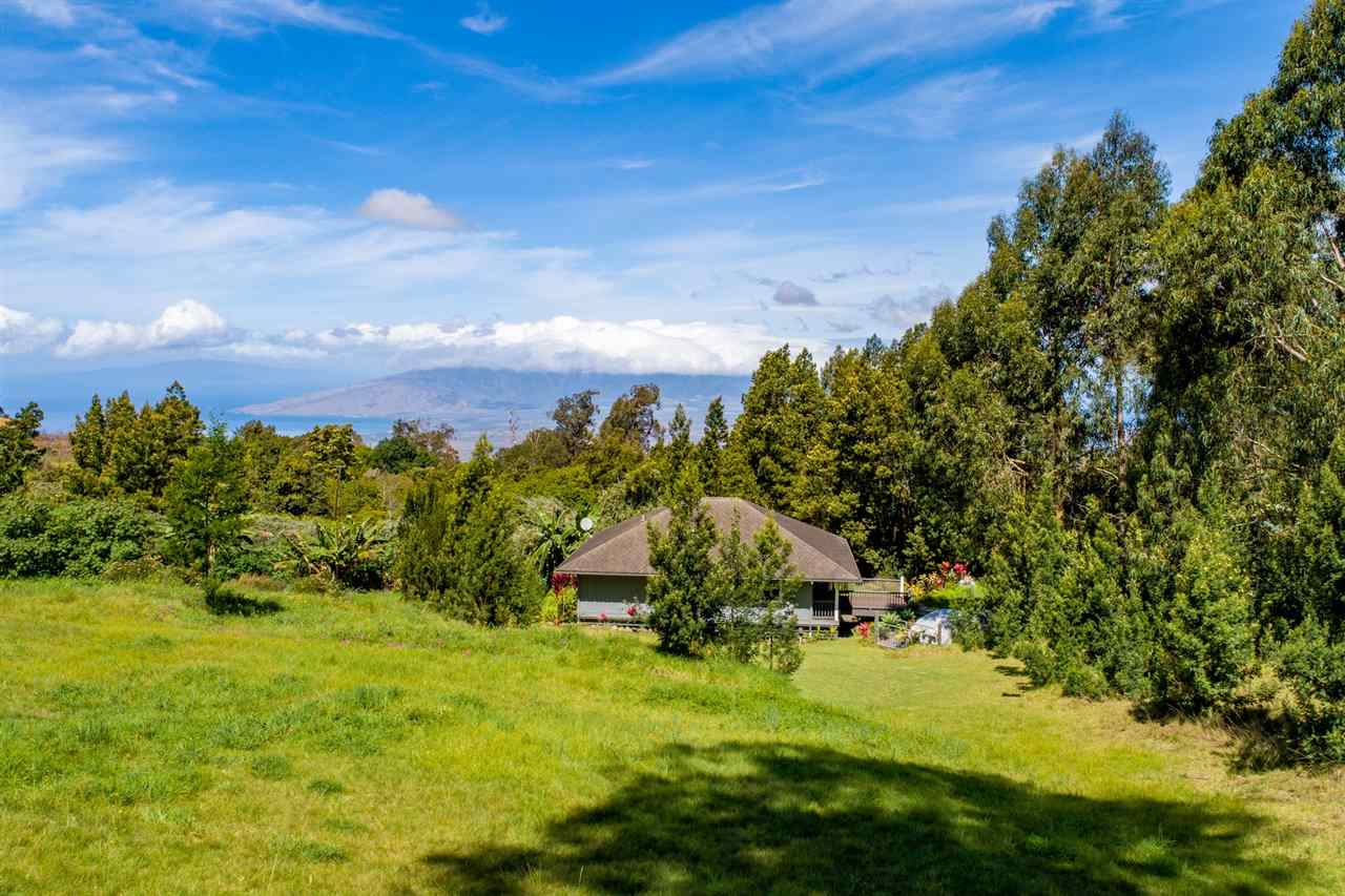 180 Waiakoa Road Kula, HI 96790 - Photo 5 of 27 a view of a garden with plants and large trees