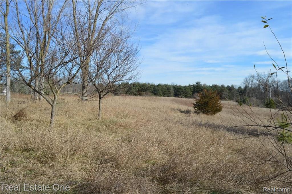 Vacant Childs Lake Road Milford, MI 48381 - Photo 15 of 18 Gallery Image 15