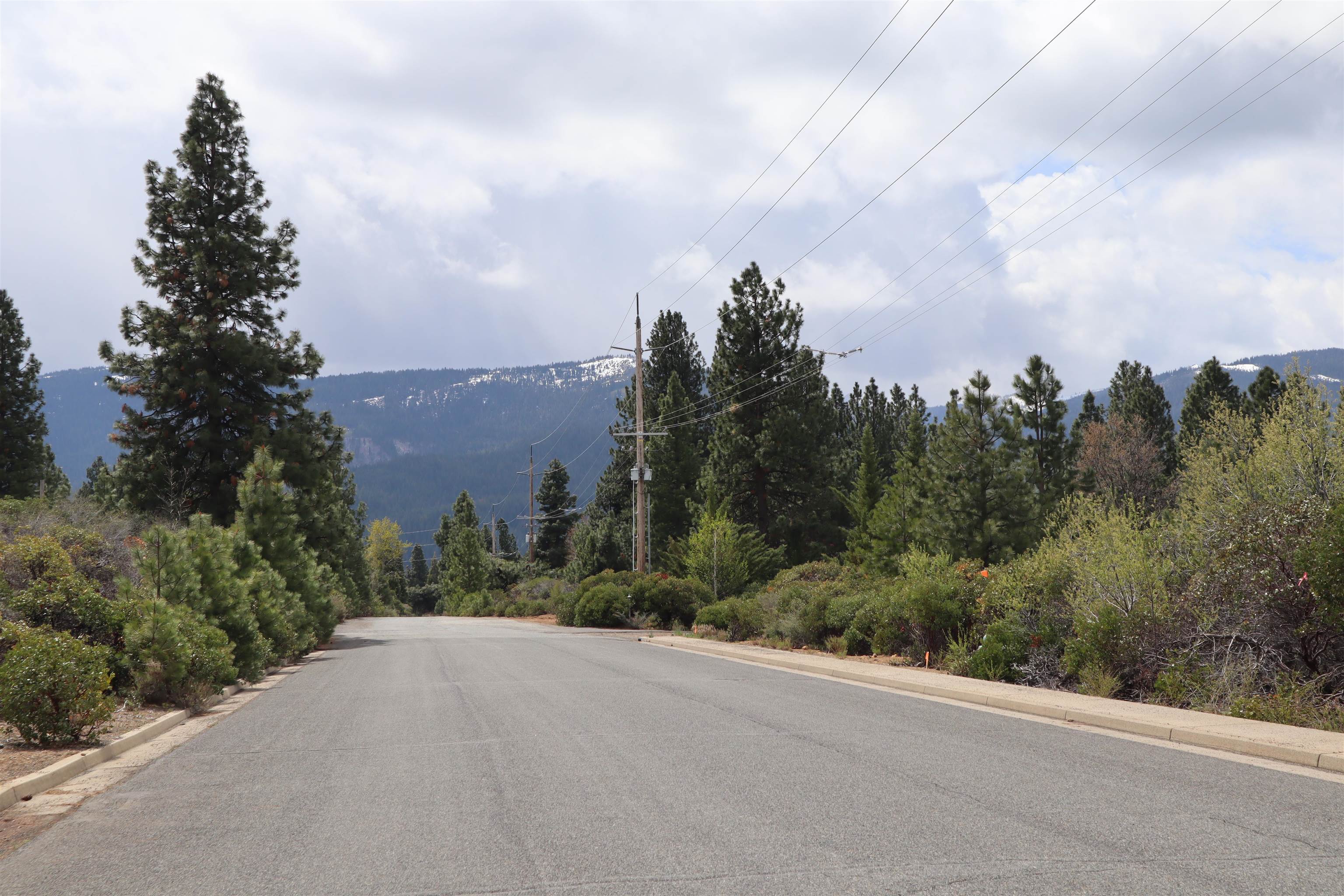 Lot 56 Grant Road Mount Shasta, CA 96067 - Photo 6 of 16 Gallery Image 6
