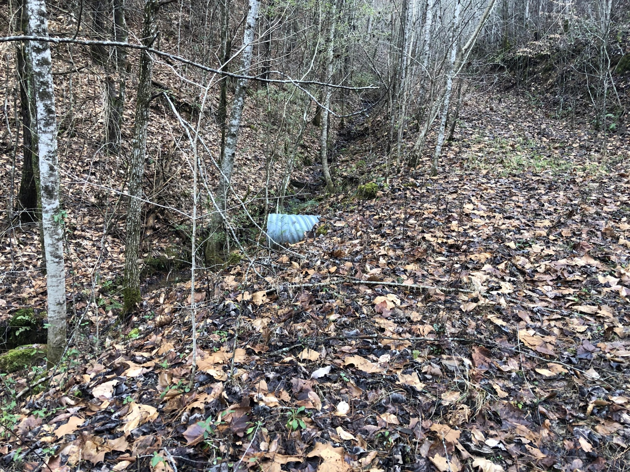 320 Smokey Run Road Tellico Plains, TN 37385 - Photo 27 of 29 Gallery Image 27