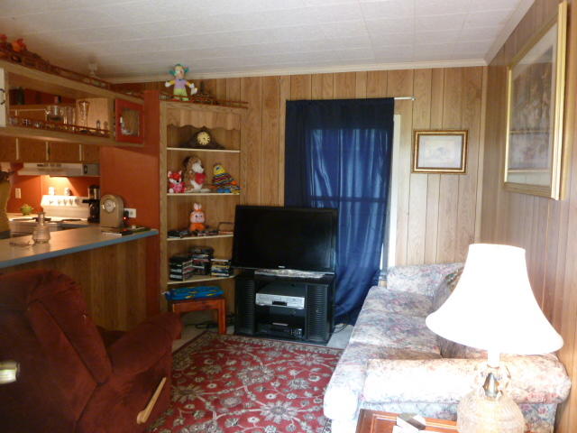 8508 Childress Road Powell, TN 37849 - Photo 7 of 10 P1150514
