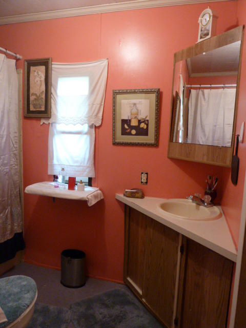 8508 Childress Road Powell, TN 37849 - Photo 8 of 10 P1150516