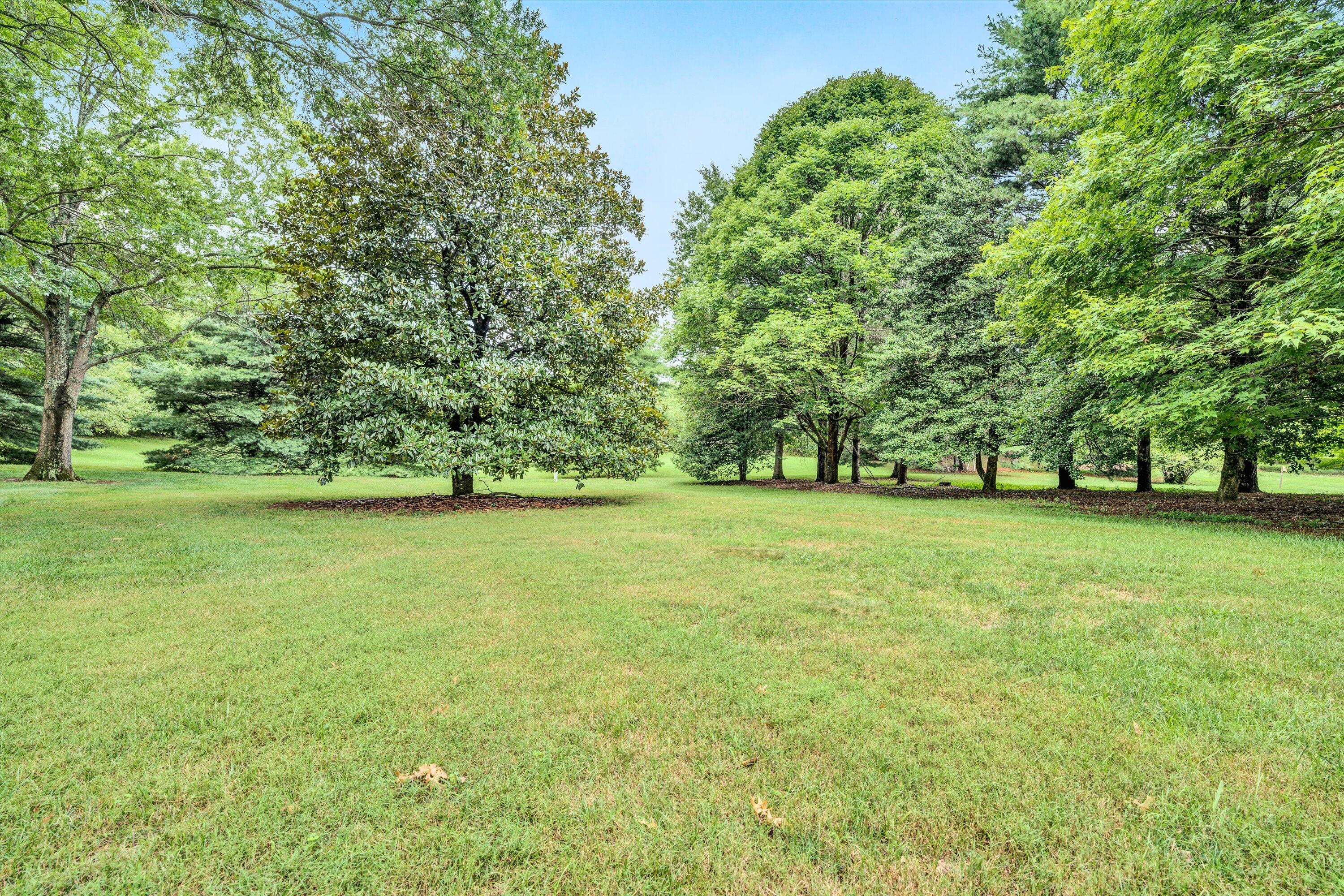 4604 Phyllis Road Northeast Roanoke, VA 24012 - Photo 35 of 44 45-072320240035