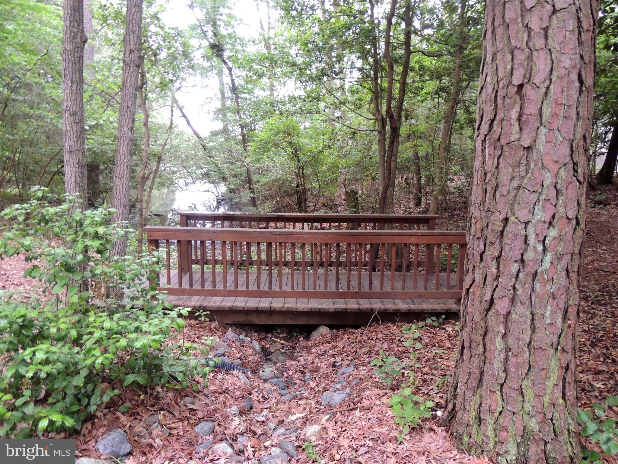 901 Spinnaker Way, Unit 901 Solomons, MD 20688 - Photo 12 of 13 a view of a wooden roof with large trees