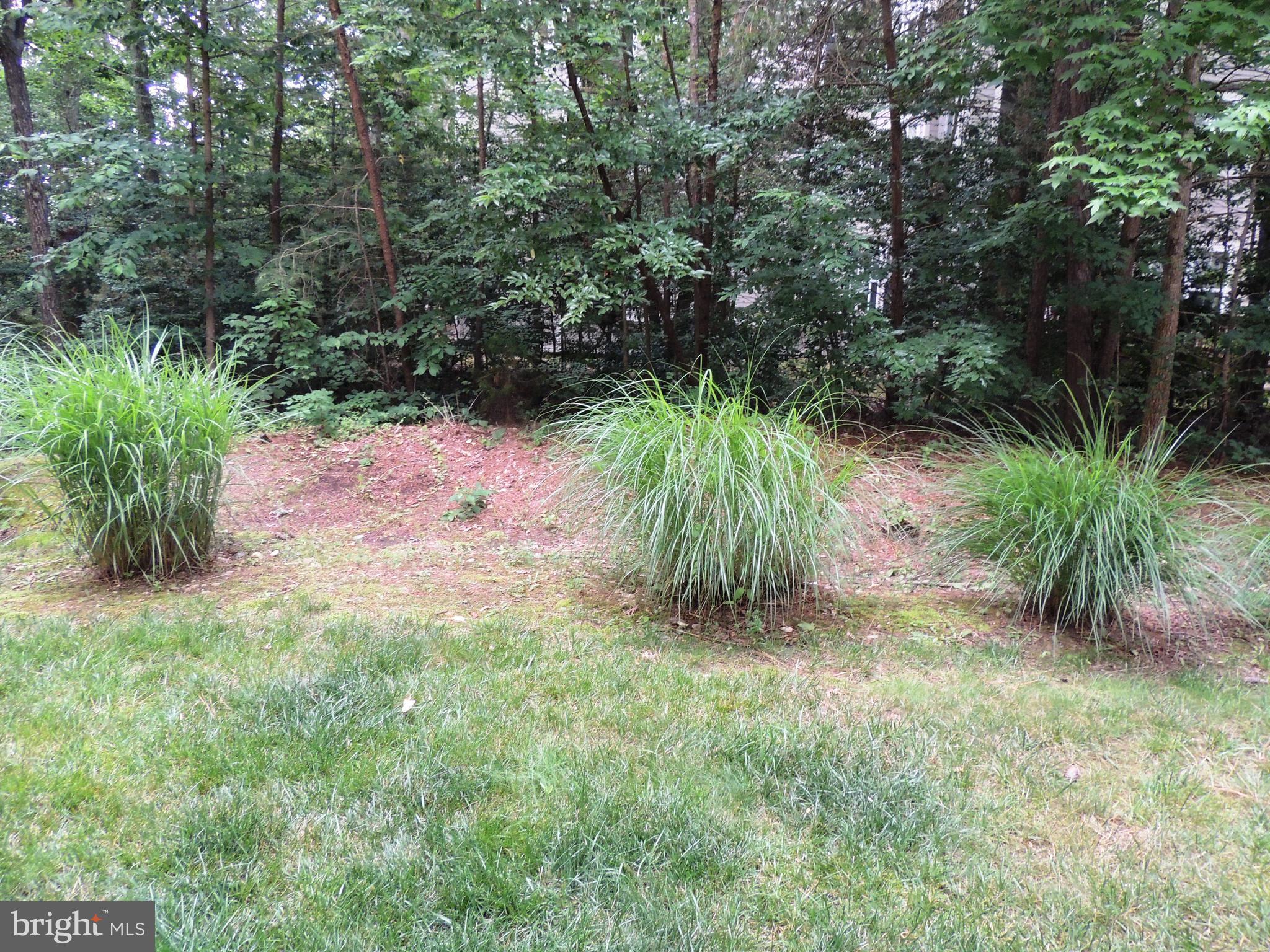 901 Spinnaker Way, Unit 901 Solomons, MD 20688 - Photo 13 of 13 a view of a yard