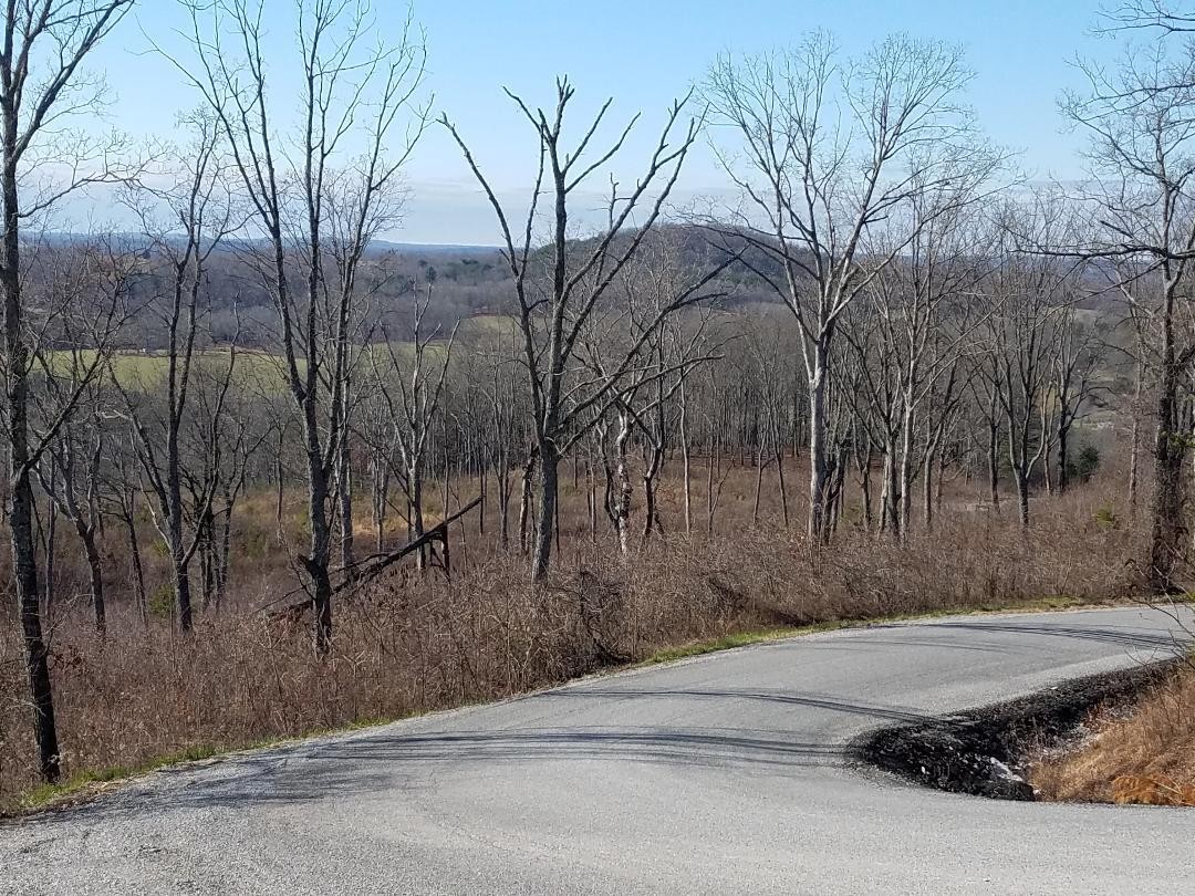 0 Big Spring Gap Road Crossville, TN 38572 - Photo 6 of 48 Gallery Image 6