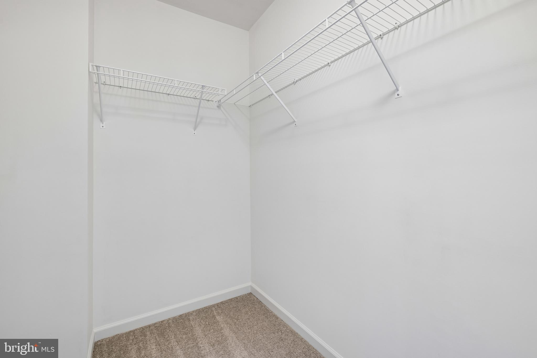 9796 Old Annapolis Road Ellicott City, MD 21042 - Photo 52 of 83 Closet