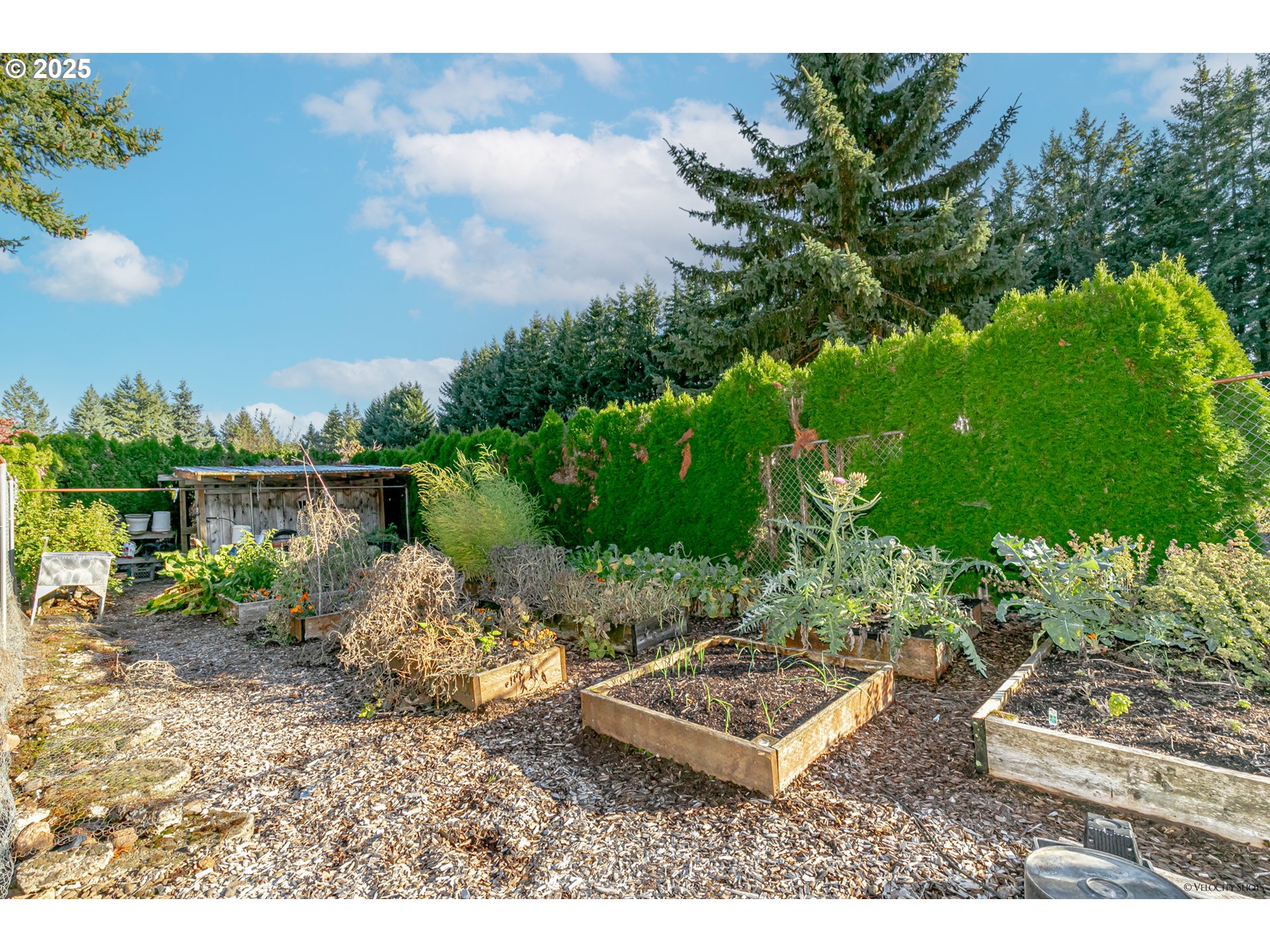 38289 Southeast Coupland Road Estacada, OR 97023 - Photo 45 of 48 a view of a backyard with plants and a lake view